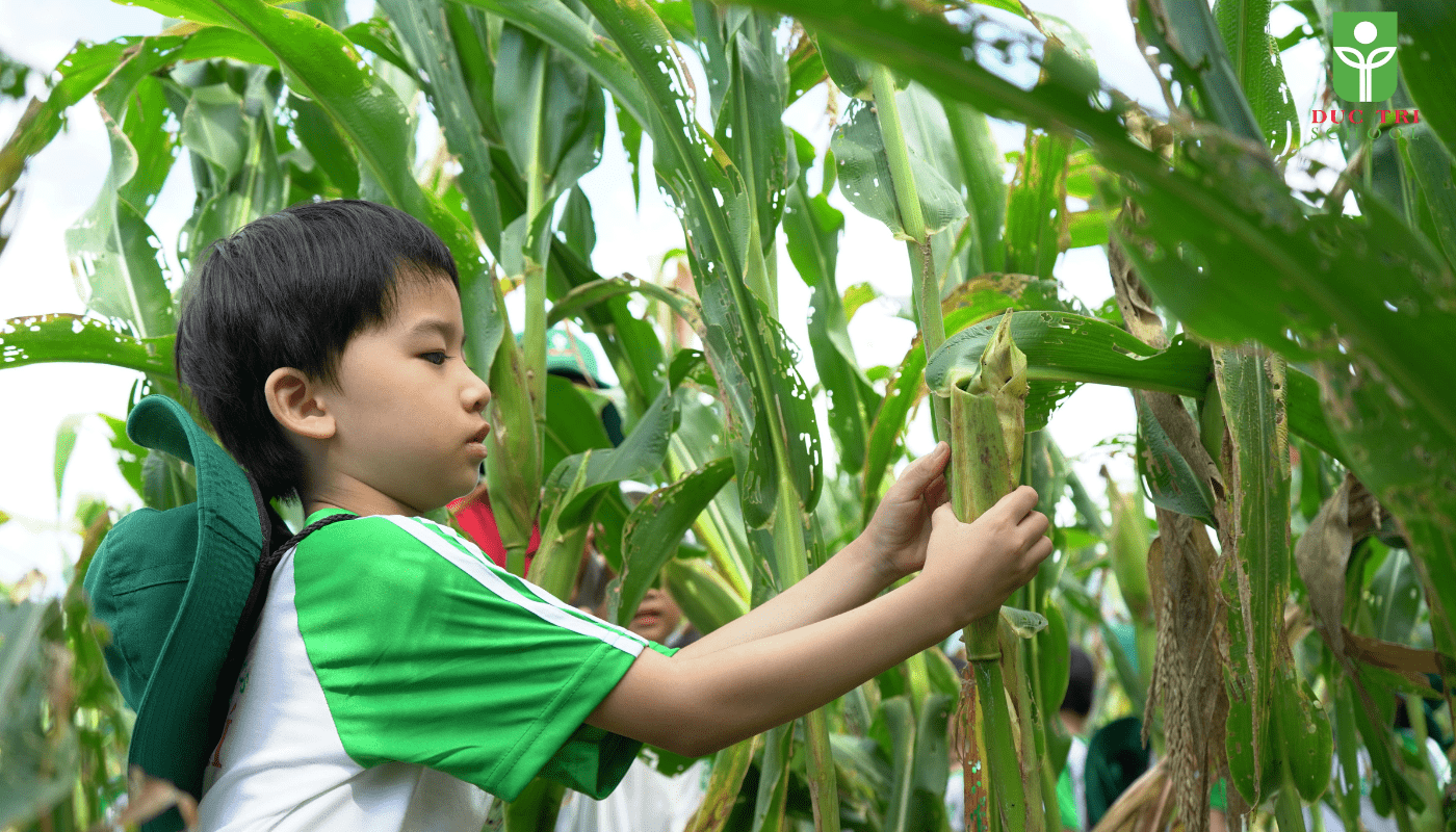 Một ngày làm nông dân
