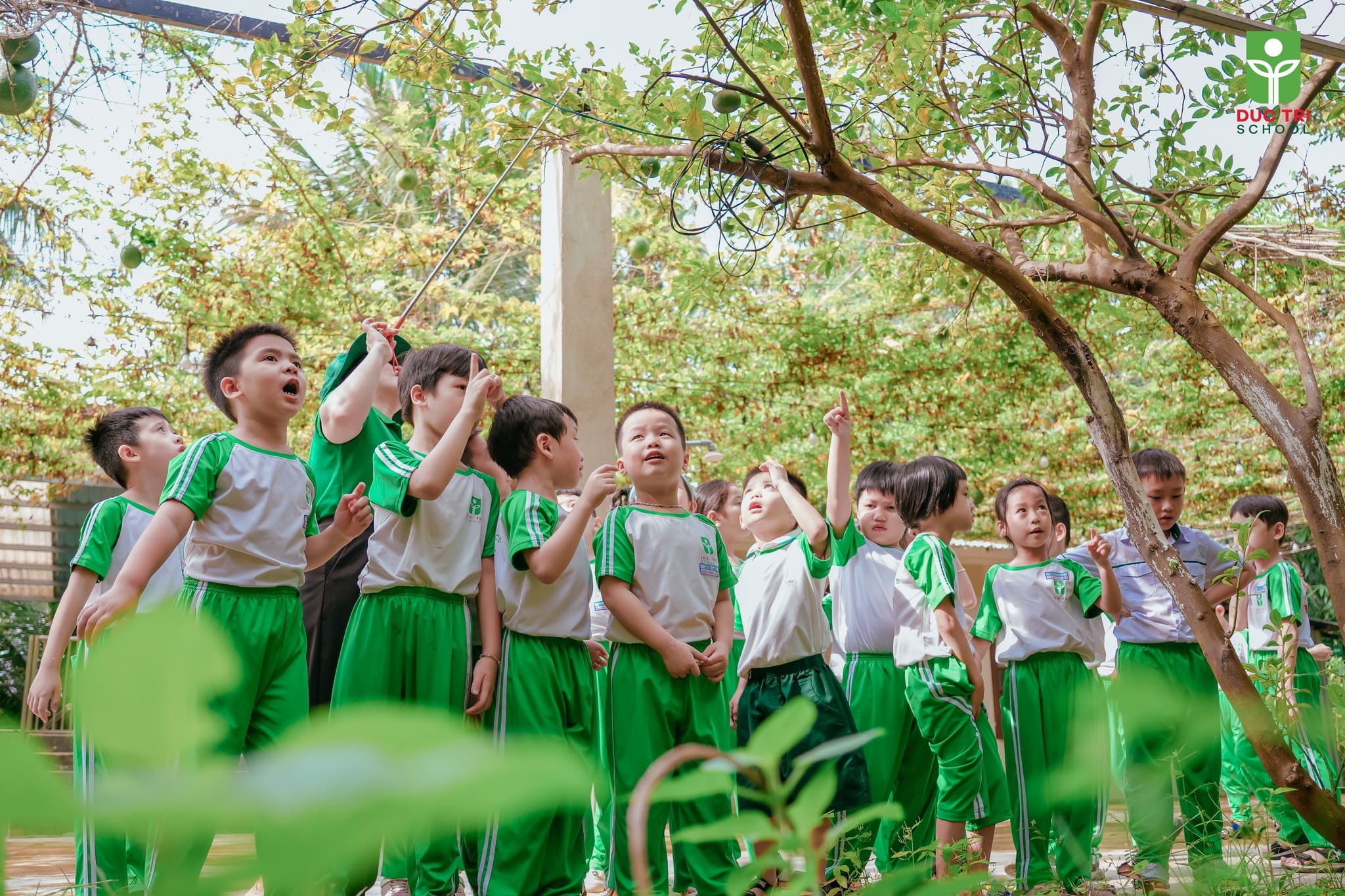 Phương pháp học qua dự án tại Đức Trí