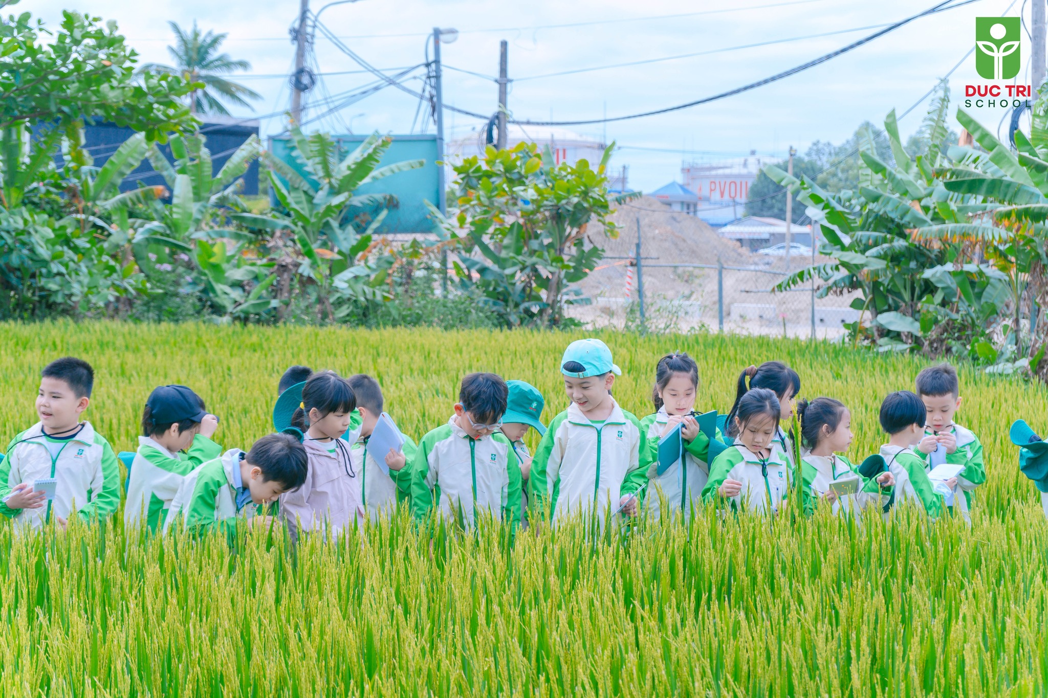 Trải nghiệm học tập trong không gian xanh